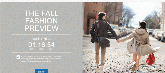 이베이 코치 세일 (2일간)