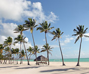 겨울 여행도 해외 직구로! 따뜻한 남쪽 나라 찾아 탈출하자!