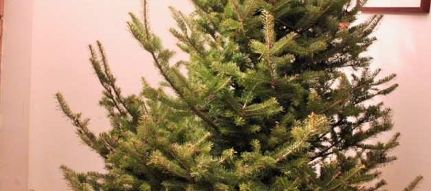 여러분 메리크리스마스!!