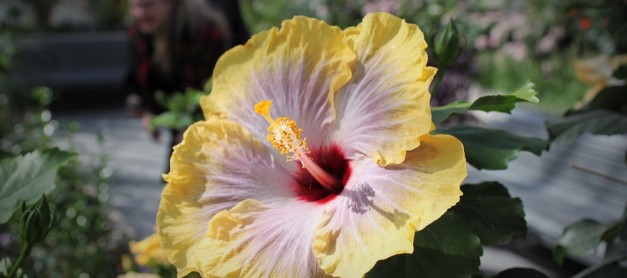 봄날의 해외 직구 세일 향연