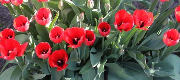 꺄르르. 어린이날 세일 정보