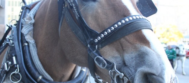 말달리자~ 오늘의 세일 달려요~ 달려