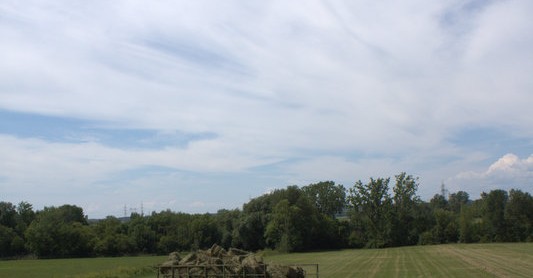 미국나라는 세일 중. 직구족을 위한 콜럼버스데이 세일 정보
