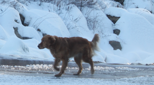 2016 그린 몬데이 (Green Monday ) 해외 직구 핫 딜