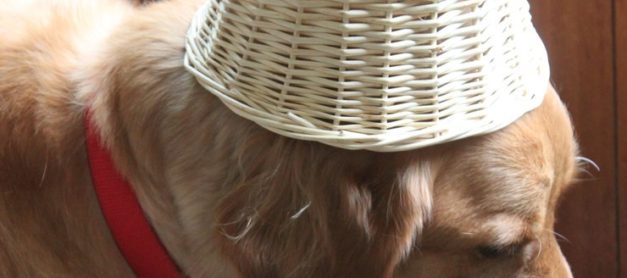 NFL 관련 50% 할인 쿠폰 등 (Lids.com)