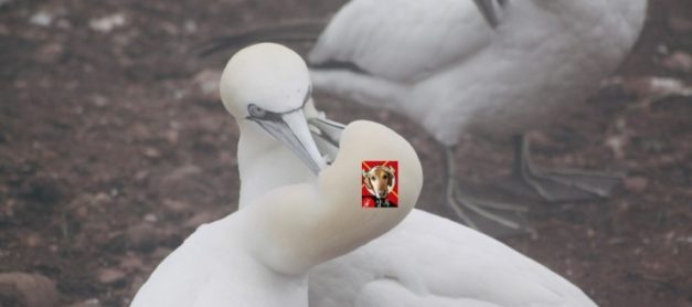 5월 초 해외 쇼핑 세일 정보