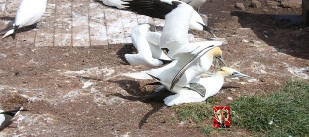 경계를 넘나드는 한여름밤의 세일 정보