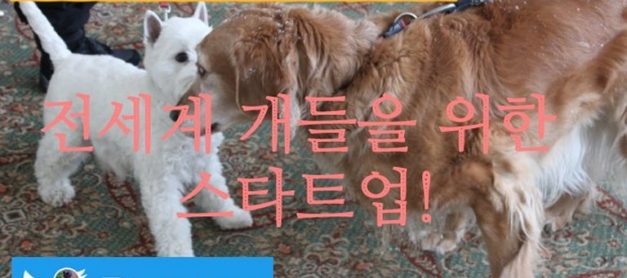 유니콘 스타트업  프로젝트! 파이썬 장고 반려견 SNS 따라 만들기 – 장고(Django) 뷰(Vue.js) 연동